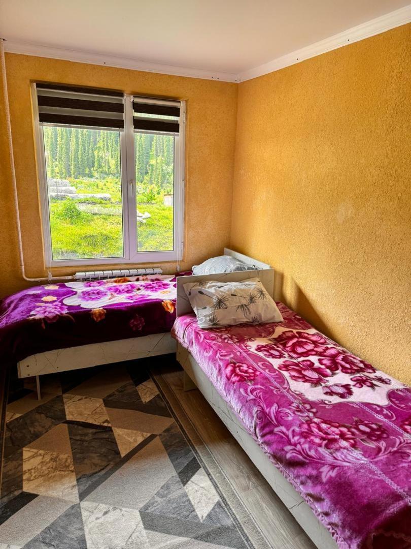 Ala-Kul Guesthouse In Altyn-Arashan Karakol Extérieur photo