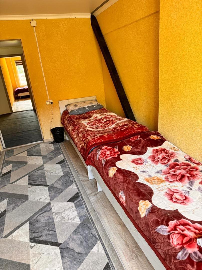 Ala-Kul Guesthouse In Altyn-Arashan Karakol Extérieur photo