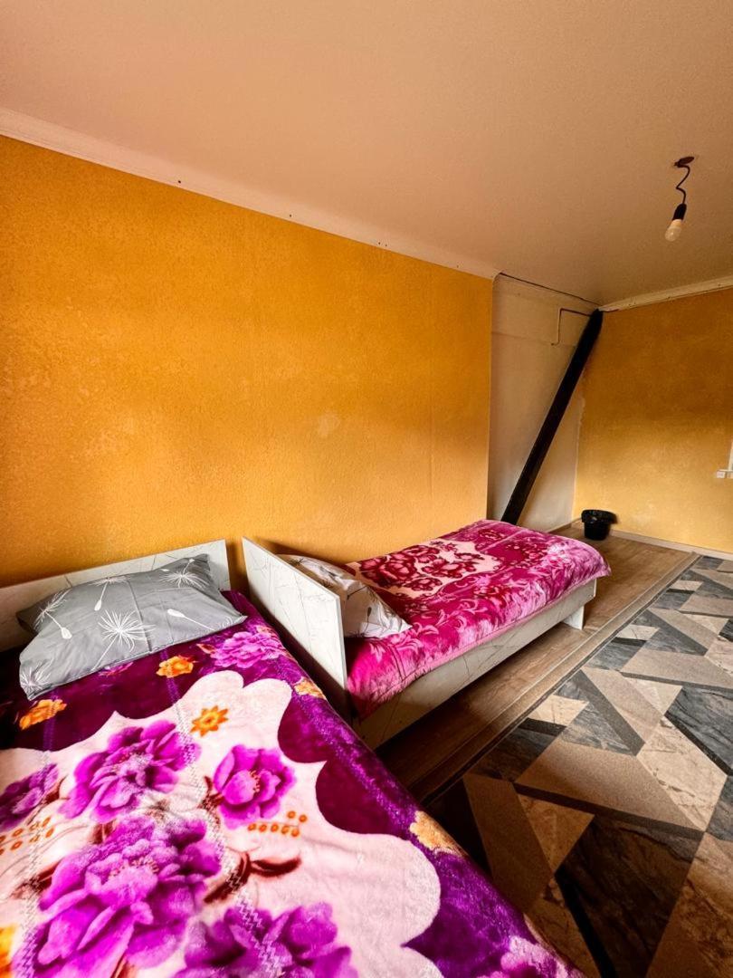 Ala-Kul Guesthouse In Altyn-Arashan Karakol Extérieur photo