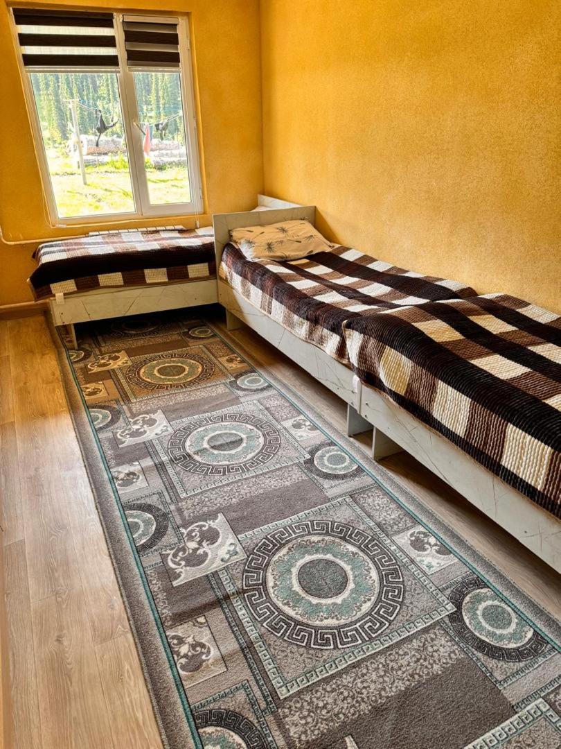 Ala-Kul Guesthouse In Altyn-Arashan Karakol Extérieur photo