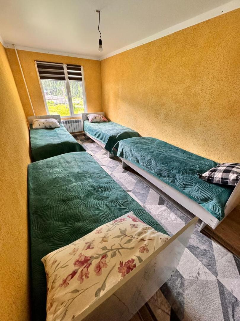 Ala-Kul Guesthouse In Altyn-Arashan Karakol Extérieur photo