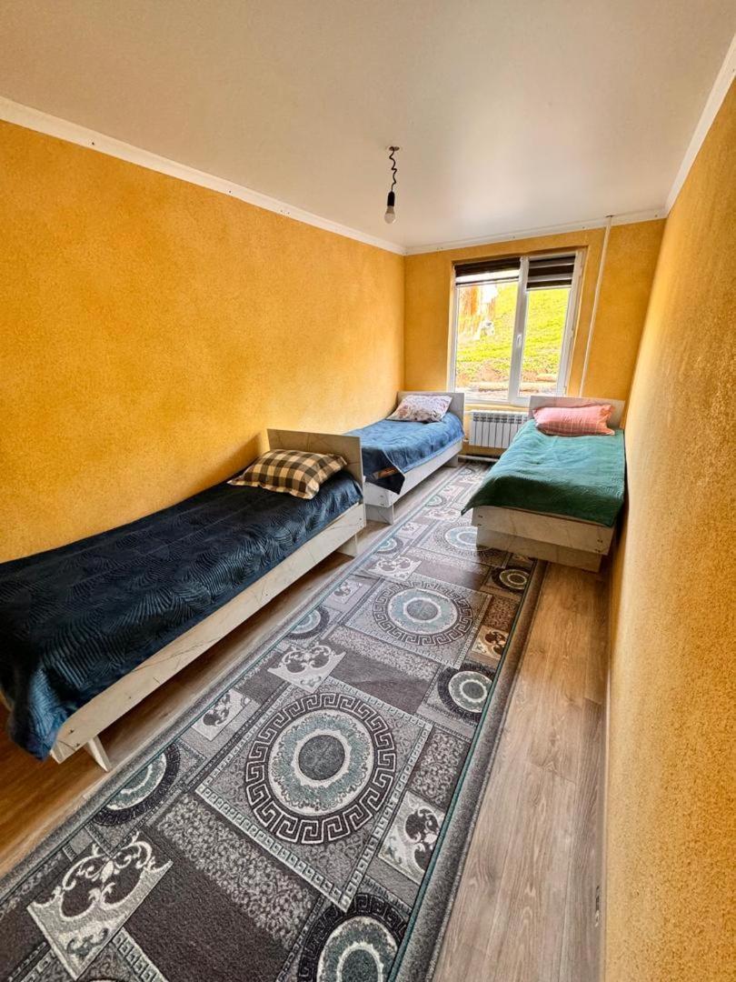 Ala-Kul Guesthouse In Altyn-Arashan Karakol Extérieur photo