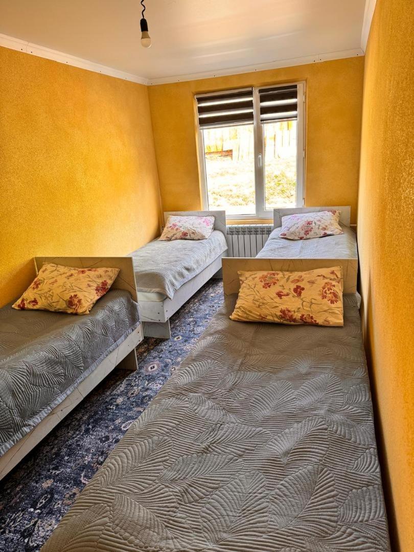 Ala-Kul Guesthouse In Altyn-Arashan Karakol Extérieur photo