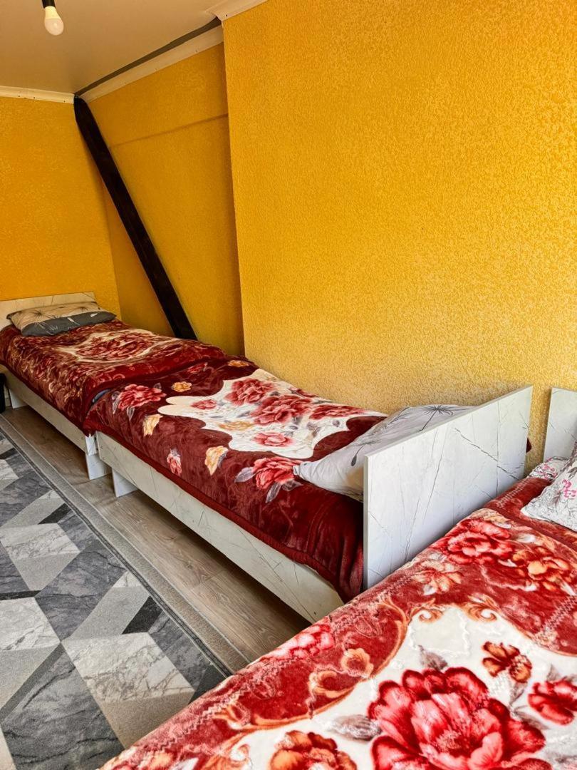 Ala-Kul Guesthouse In Altyn-Arashan Karakol Extérieur photo